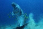Dugong Snorkeling Calauit Island - Image 10