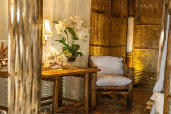 Linapacan Luxury Camp - Image 8