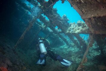Lusong Wreck and Coral Garden Snorkeling - Image 5