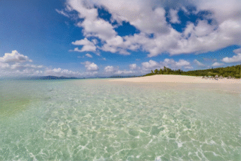 Maosonon Island - Image 3