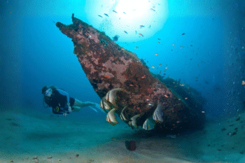 Puerto Galera Scuba Diving - Image 6