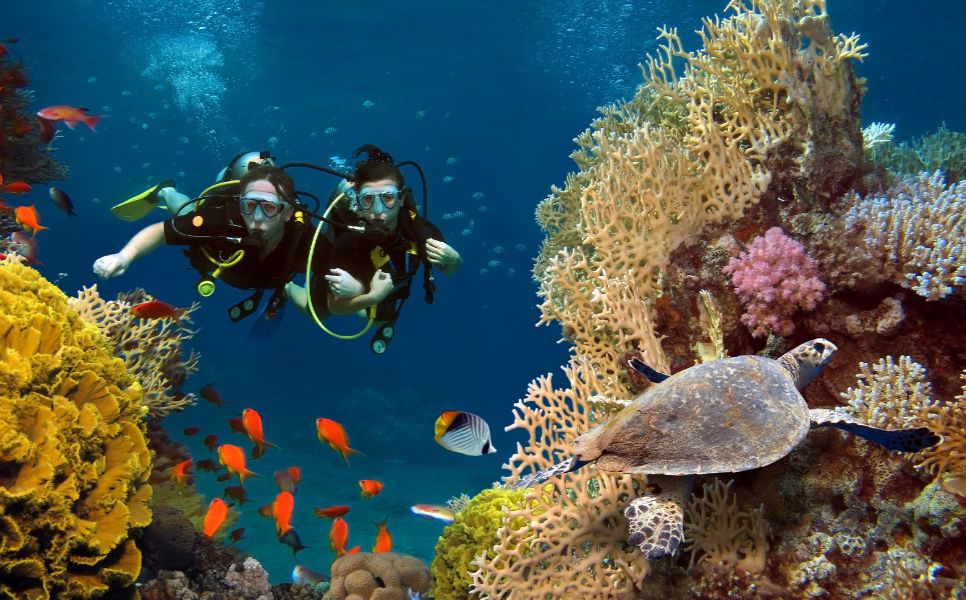 Philippines scuba-fishes