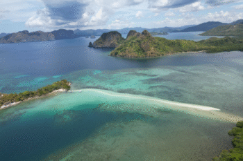 Snake Island - Image 2