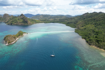 Snake Island - Image 3