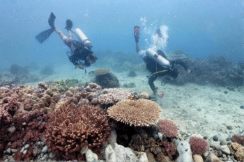 Sumilon Island Scuba Diving - Image 2