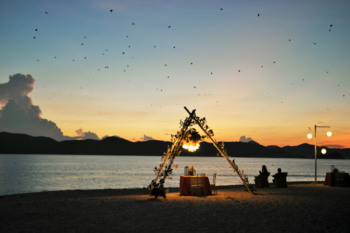 Sunset Flying Bats Off Club Paradise - Image 4