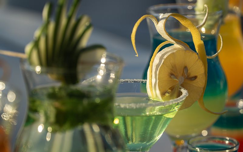 SOFIA DEBUT_SUNGLIDER 120_800X500 (6)