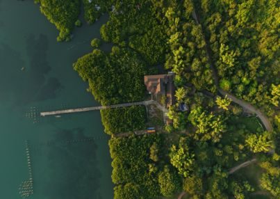 DJI_20241214172541_0029_D